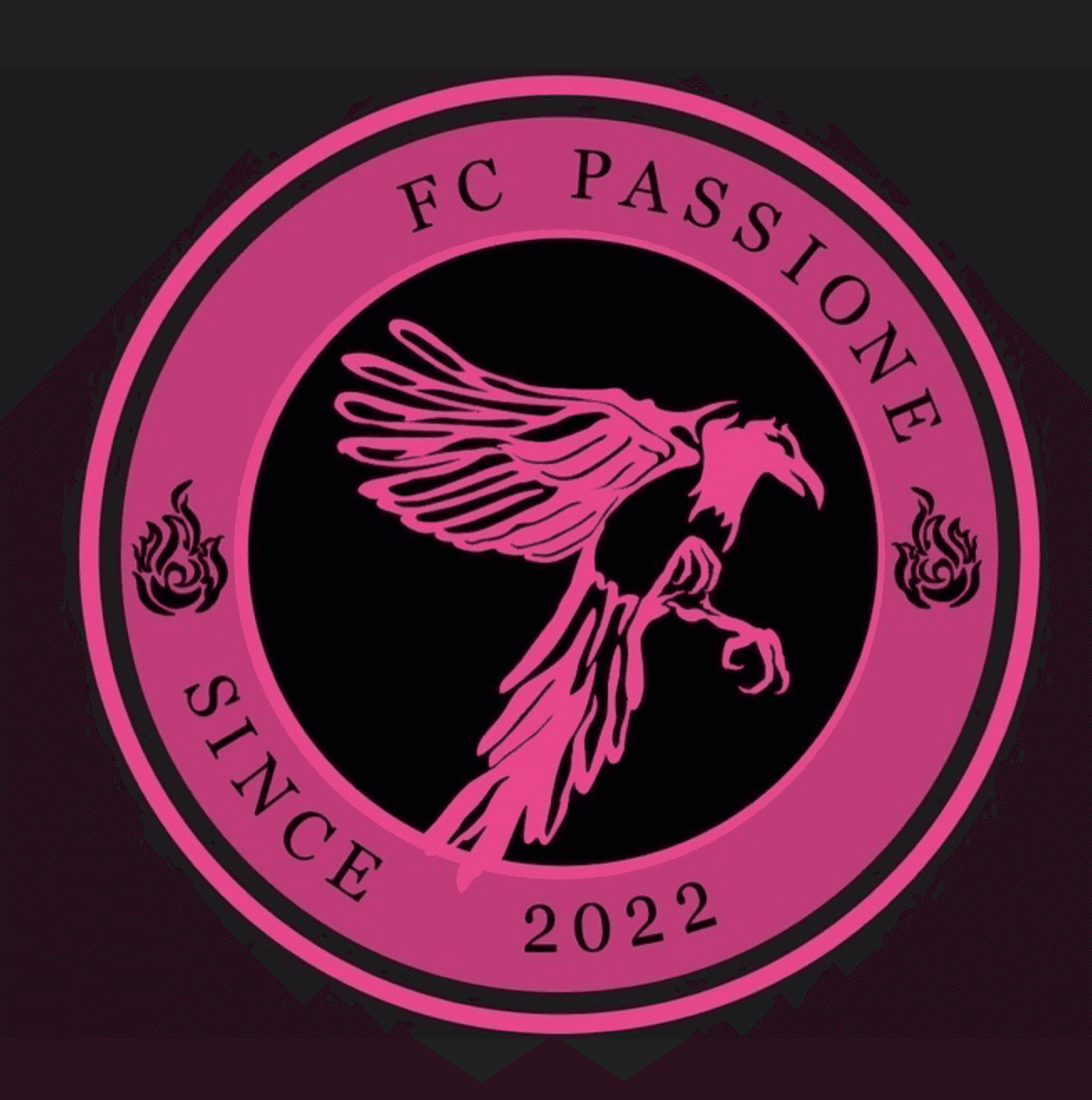 FC 파시오네
